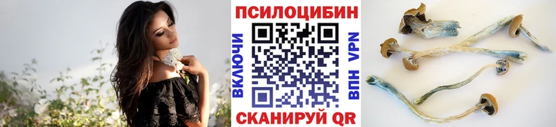 Псилоцибиновые грибы прущие грибы  Купить закладки  Алексин 