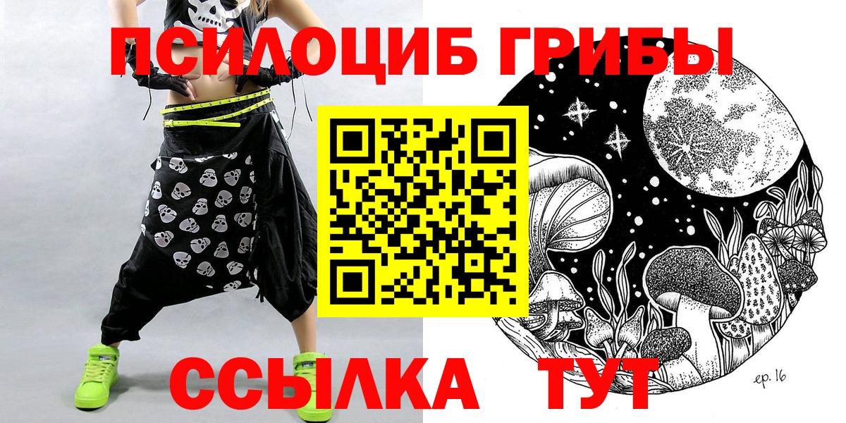 Псилоцибиновые грибы мицелий Алексин