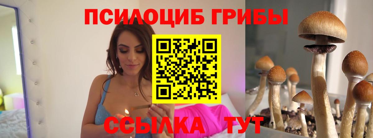 Алексин  Галлюциногенные грибы мицелий  Галлюциногенные грибы Cubensis  Вход с VPN 