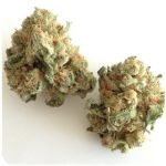 Шишки "White Widow"  (Белая вдова)  Гидропоника -  Бошка VHQ в Алексине